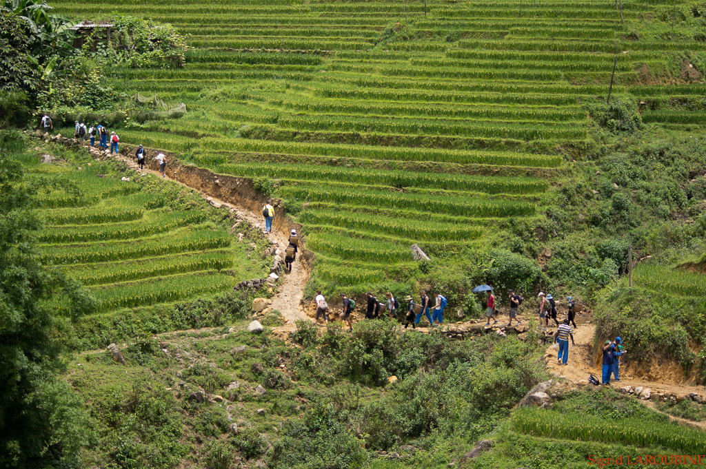 Sapa ( _IMG5905 )