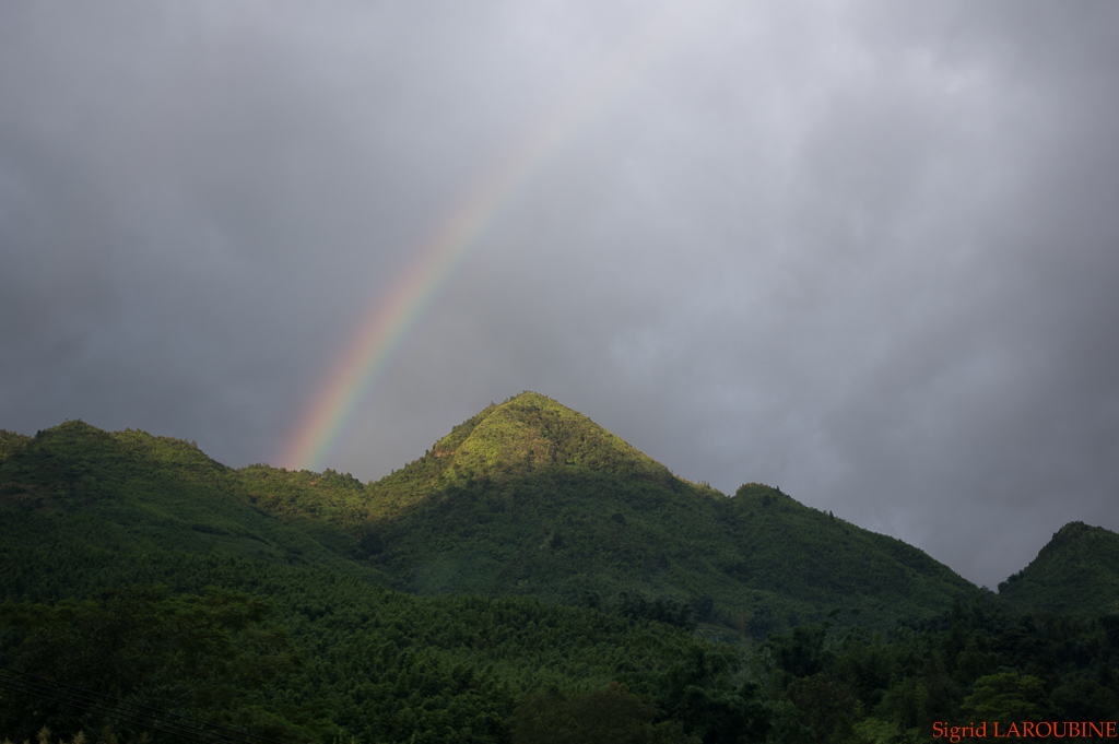 Sapa ( _IMG6054 )