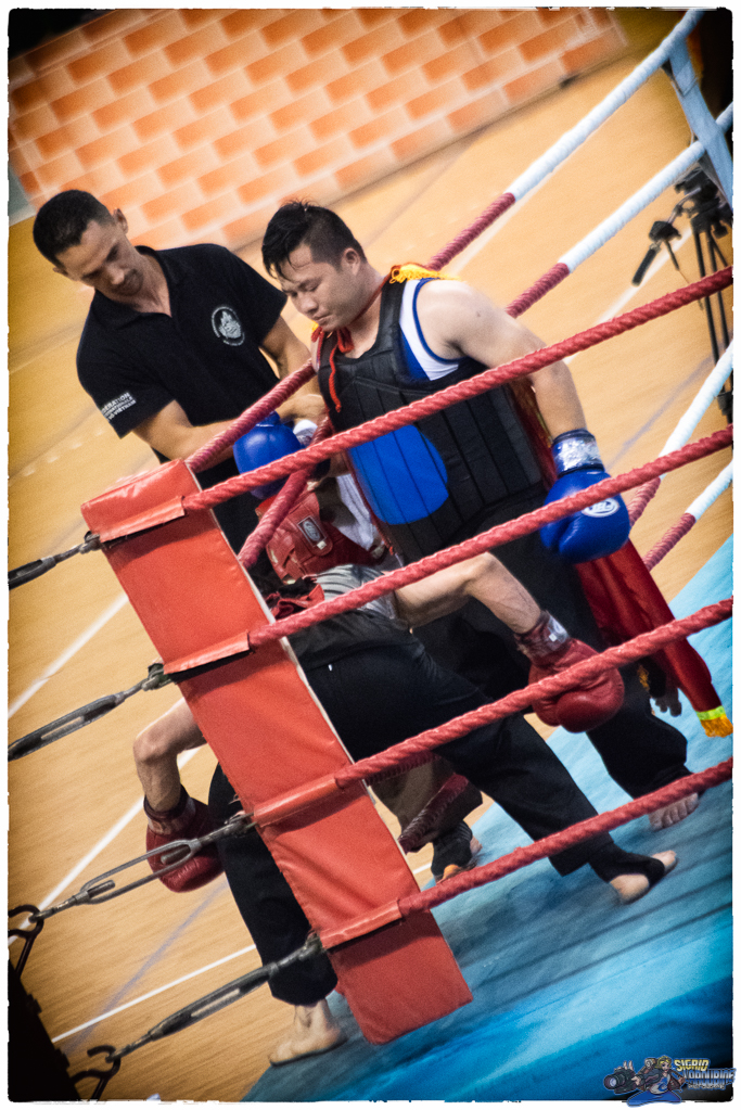  ( _IMG6014-Modifier )