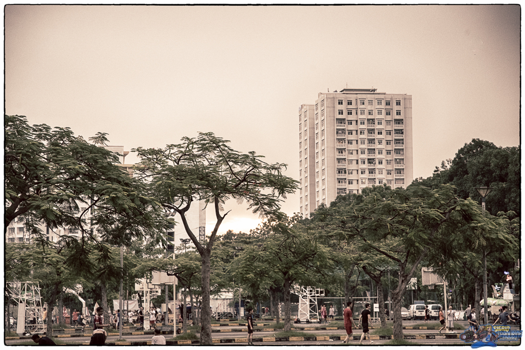  ( _IMG6238-Modifier )