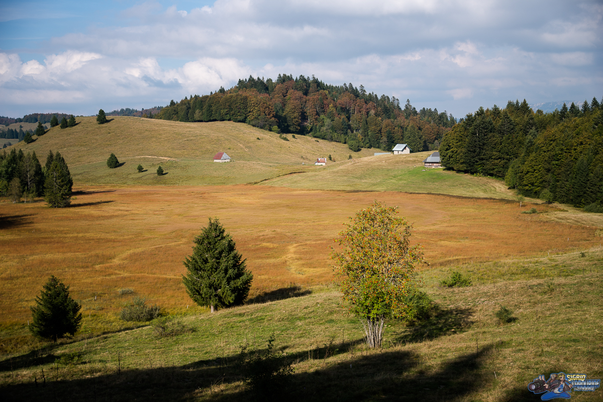  ( _IMG7948 )
