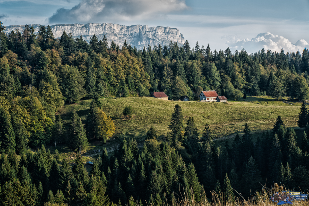  ( _IMG7996-Modifier )
