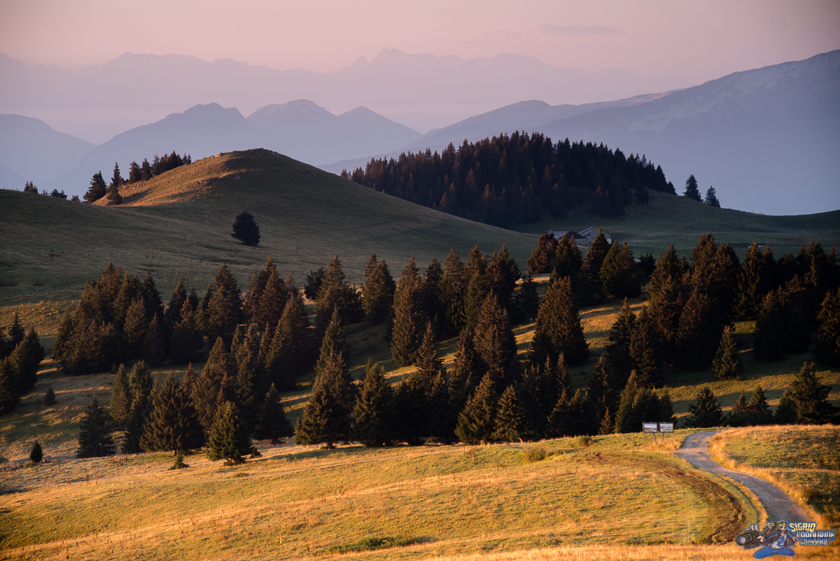  ( _IMG8124 )