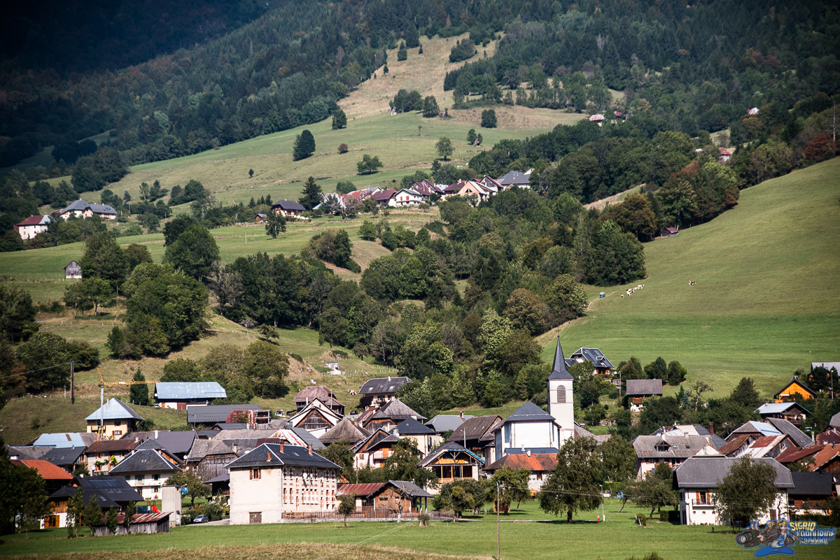  ( _IMG8202 )