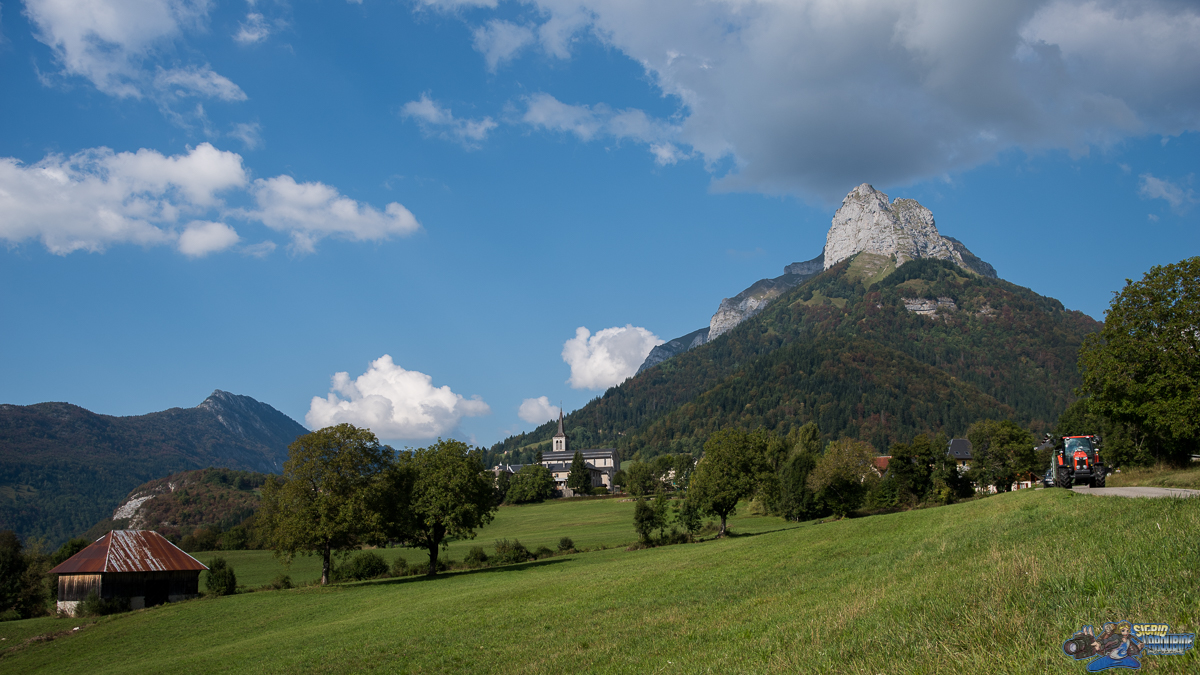  ( _IMG8212 )