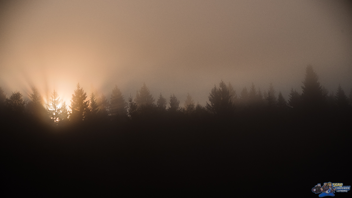  ( _IMG8344 )