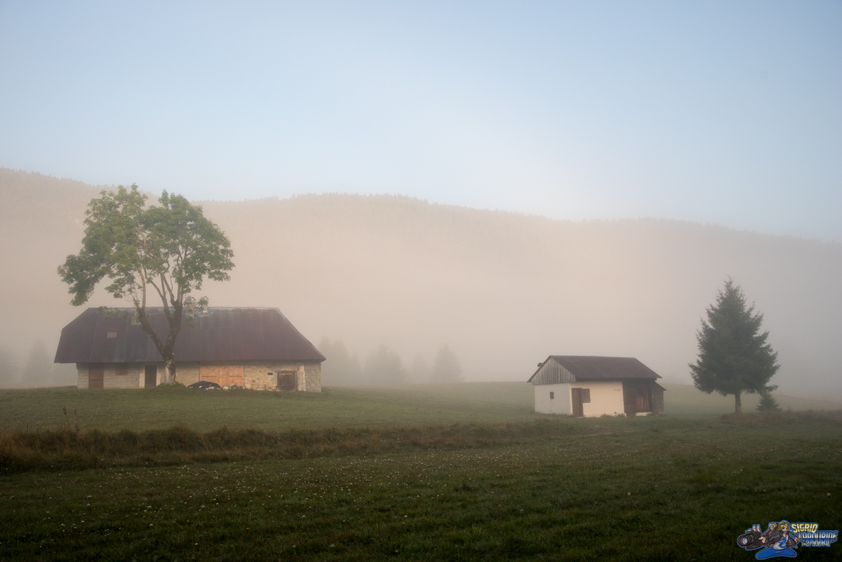  ( _IMG8350 )
