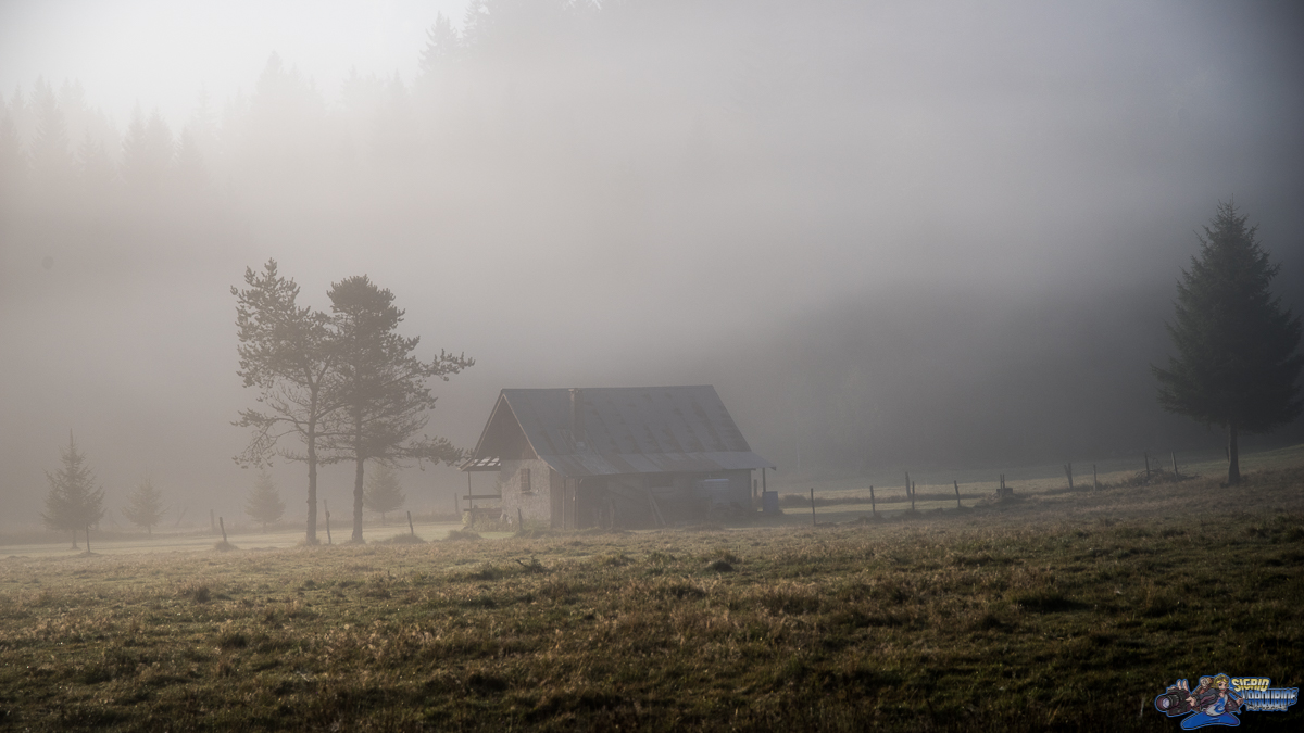  ( _IMG8383-Modifier )