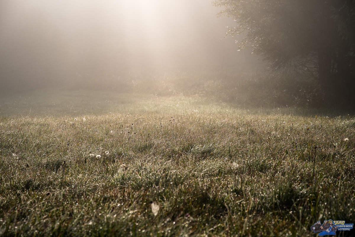  ( _IMG8387 )