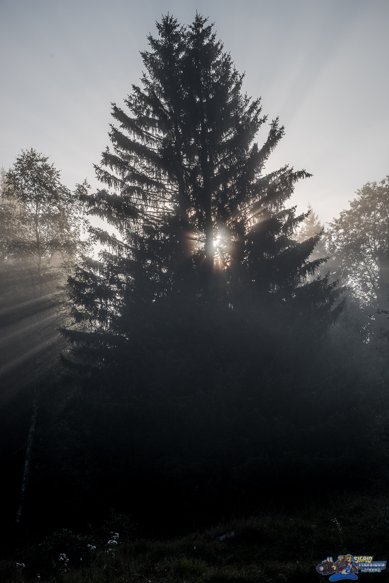  ( _IMG8398 )
