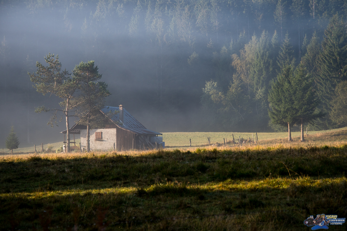  ( _IMG8402 )
