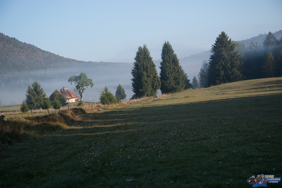 ( _IMG8423 )