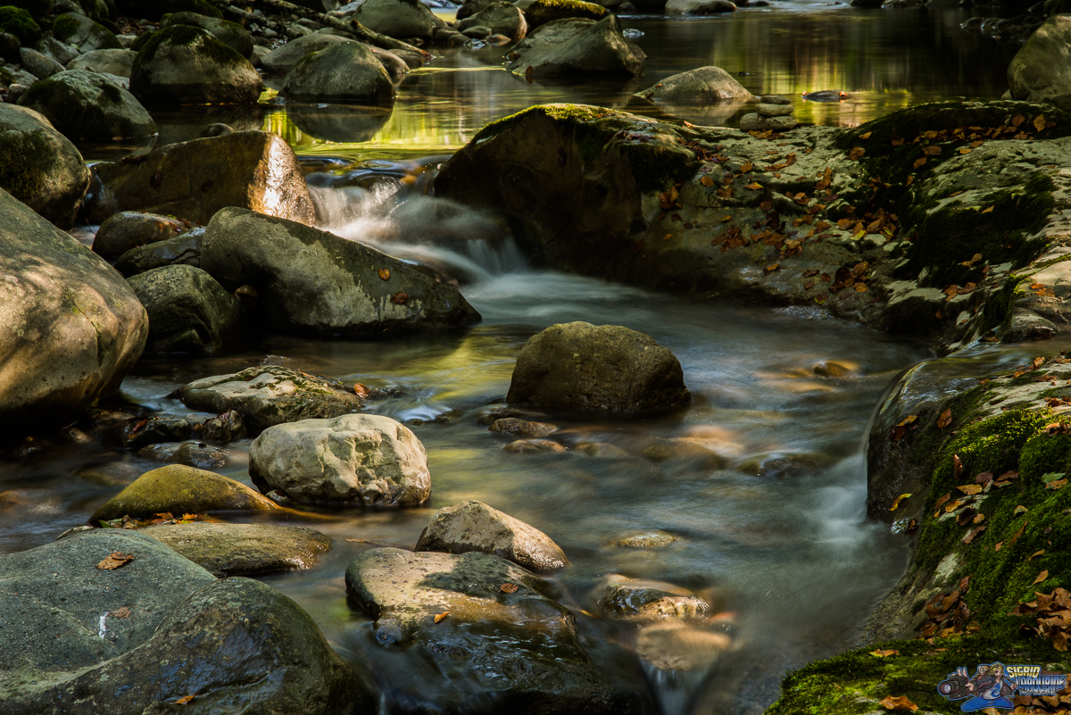  ( _IMG8446 )