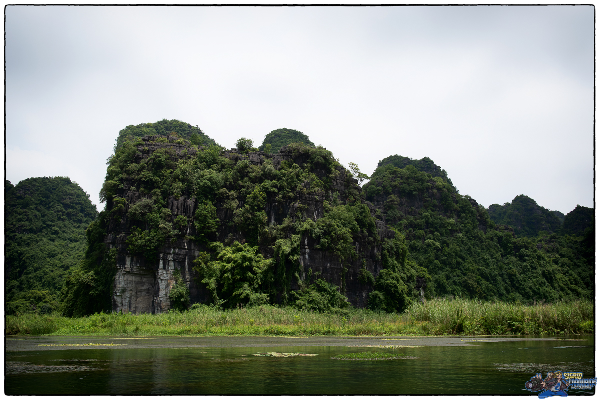  ( _IMG3972-Modifier )