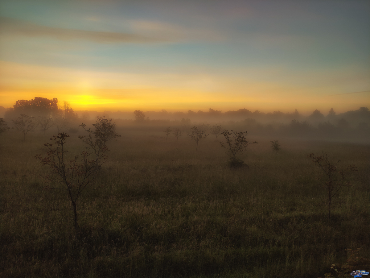    IMG_20210520_061635-Modifier