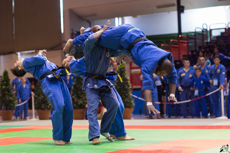 VVD WorldCup Paris 2014