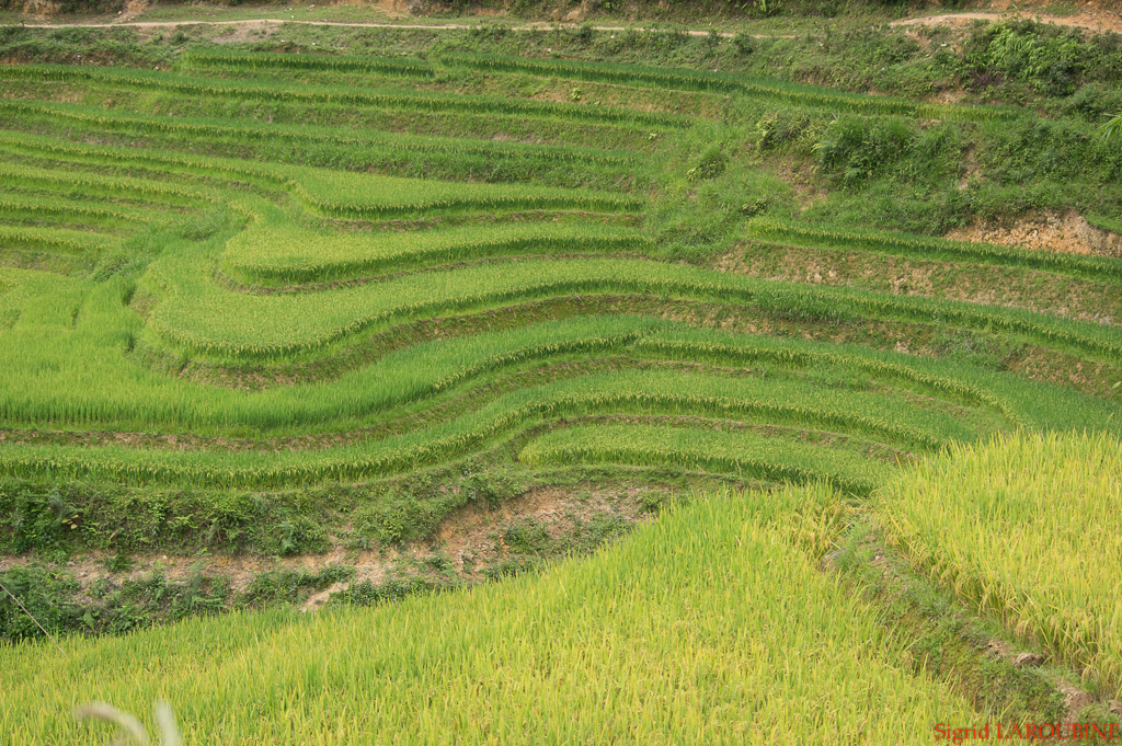 Seminaire Vietnam 2015