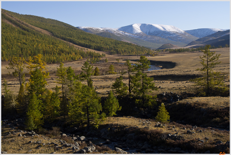Mongolie