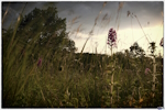 Stage Domaine de Roumaillac
